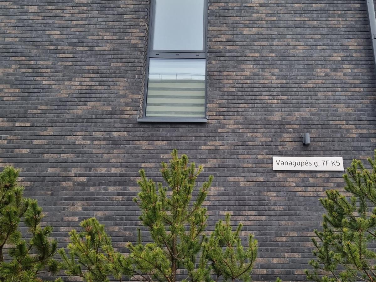 Апартаменты Apartamentas Vanagupes Parke
